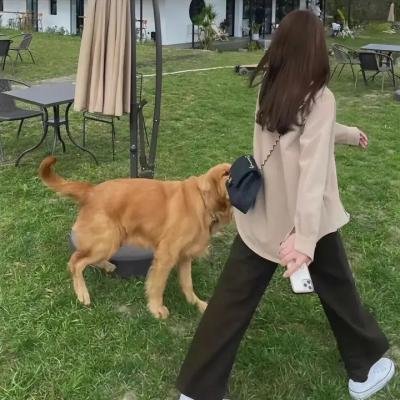 看不见的女儿
